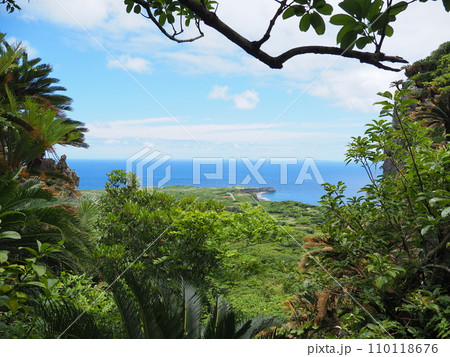 やんばる国立公園・大石林山/高台からの景色（沖縄県国頭郡国頭村）2 110118676