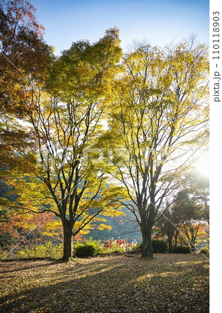 晩秋の宇曽川ダム 110118903