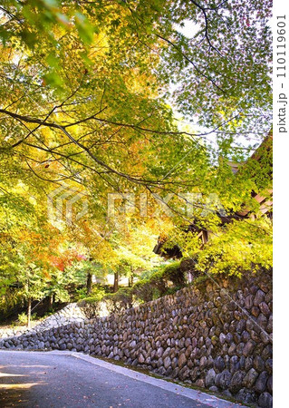 胡宮神社の秋 110119601