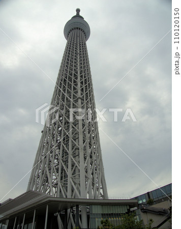 おしなり公園付近からスカイツリーを望む　東京都墨田区業平 110120150