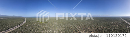 baja california sur mexico aerial view of cactus forest near the sea 110120172