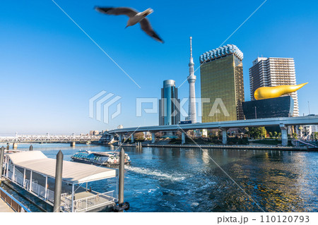 日本の東京都市景観 浅草水上バス乗船場を出航したエメラルダスや鳥などを望む＝令和5年12月29日 110120793