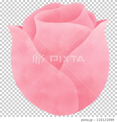 pink rose watercolor clip art pink rose watercolor clip art 110121099