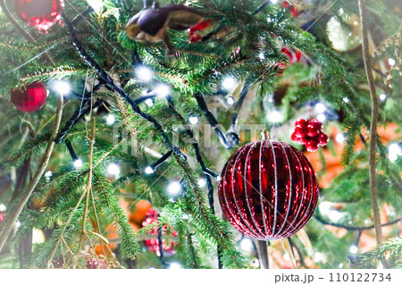 クリスマスツリーのある風景 クリスマスツリーのある風景 110122734