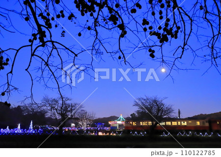 柿の実シルエットとイルミネーション小湊鐵道「飯給駅」 110122785