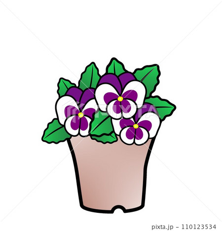 水越智三　pure tomato パンジー　鉢植え　花　イラスト 鉢に植えたパンジーの花束のイラスト素材 [217519899