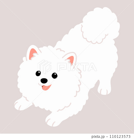 遊びに誘うシンプルで可愛い白いスピッツのイラスト 主線なし 遊びに誘うシンプルで可愛い白いスピッツのイラスト 主線なし 110123573