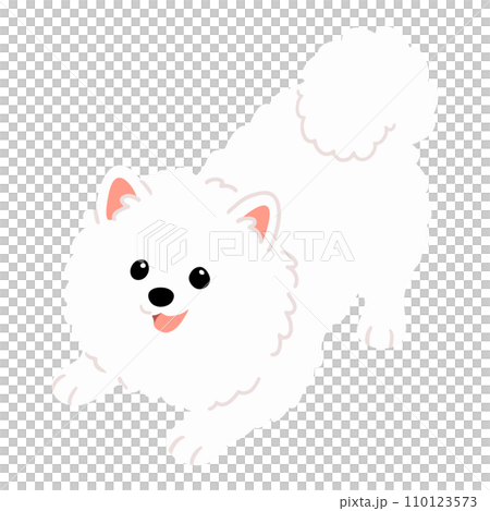 遊びに誘うシンプルで可愛い白いスピッツのイラスト 主線なし 遊びに誘うシンプルで可愛い白いスピッツのイラスト 主線なし 110123573