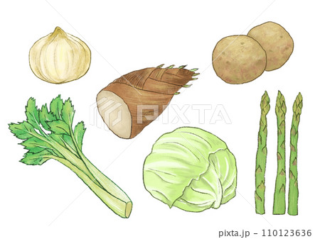 いろいろな野菜のイラスト 110123636