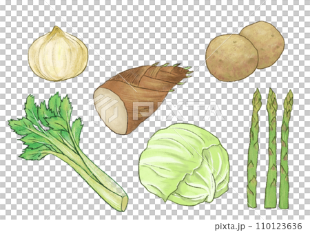 各種蔬菜的插圖 110123636