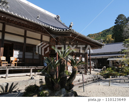 秋の愛知県の松平郷の高月院 110123649