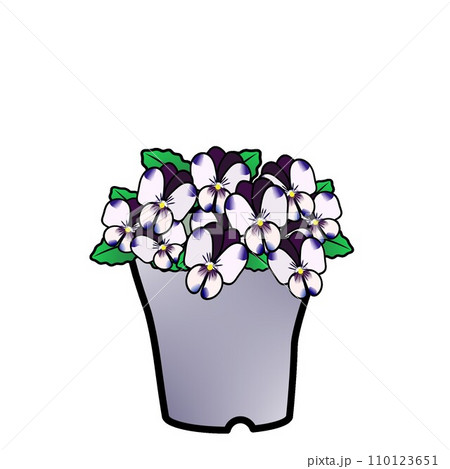 植木鉢に植えられたビオラのイラスト 110123651