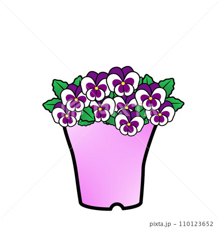 植木鉢に植えられたビオラのイラスト 110123652
