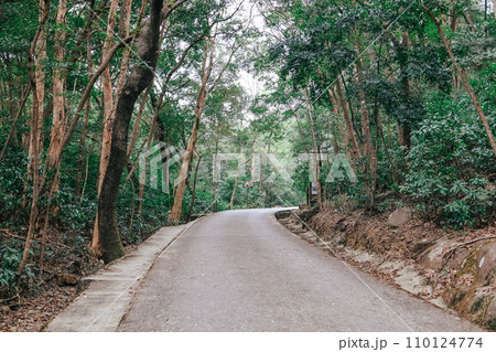 the tai mo shan country park, hk Dec 22 2023 110124774