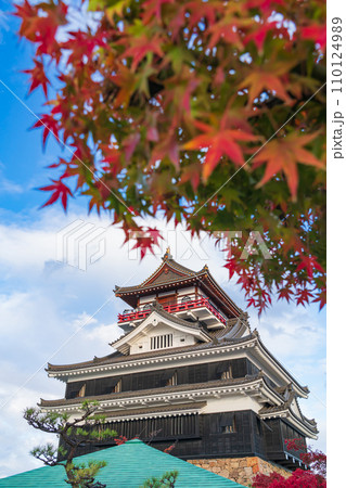 秋の清洲城〈愛知県清須市〉 秋の清洲城〈愛知県清須市〉 110124989