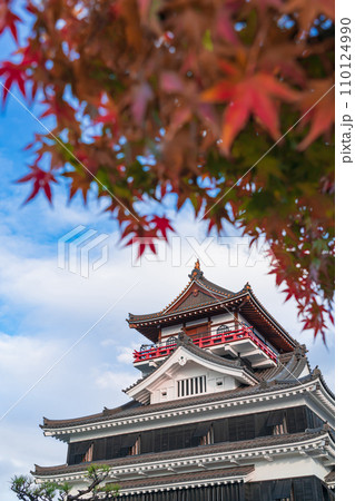 秋の清洲城〈愛知県清須市〉 110124990