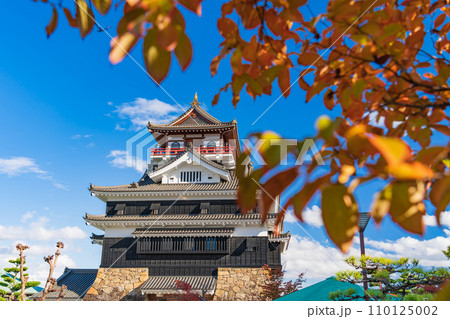 秋の清洲城〈愛知県清須市〉 110125002