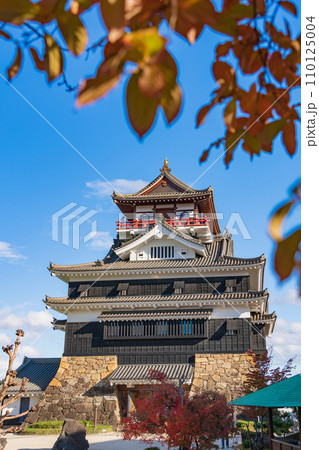 秋の清洲城〈愛知県清須市〉 110125004