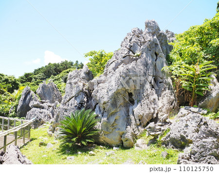 岩の中の宇宙人/やんばる国立公園・大石林山(沖縄県国頭郡国頭村)3 岩の中の宇宙人/やんばる国立公園・大石林山(沖縄県国頭郡国頭村)3 110125750