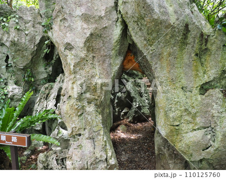 輪廻・生まれ変わりの石/やんばる国立公園・大石林山(沖縄県国頭郡国頭村)2 輪廻・生まれ変わりの石/やんばる国立公園・大石林山(沖縄県国頭郡国頭村)2 110125760