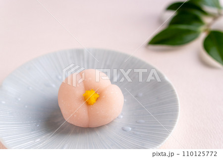 季節の和菓子「山茶花」 季節の和菓子「山茶花」 110125772