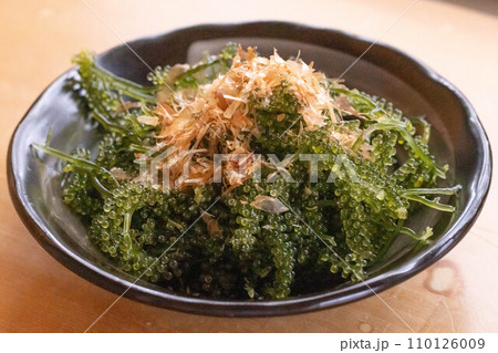 海ブドウ 110126009