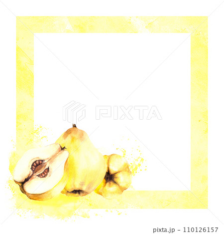 Hand painted watercolor square frame. Juicy quince whole and cut fruits with seeds inside on the yellow stain. Clipart template illustration for card, food, drink label. Isolated on white background. 110126157