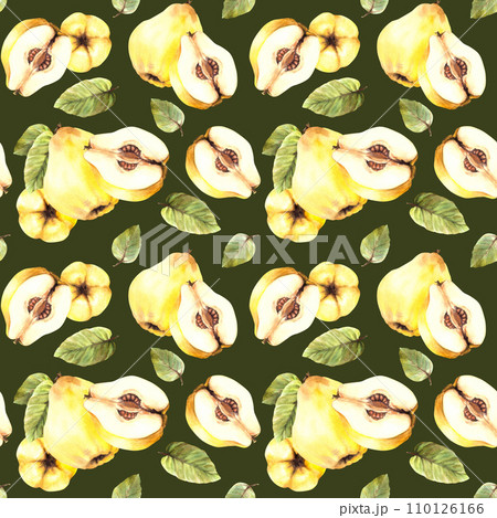 Watercolor hand painted seamless pattern. Yellow quince whole and cut fruit with branch and leaves Illustration. Repeating clipart for wrapping paper, wallpaper cover Isolated on dark green background Watercolor hand painted seamless pattern. Yellow quince whole and cut fruit with branch and leaves Illustration. Repeating clipart for wrapping paper, wallpaper cover Isolated on dark green background 110126166