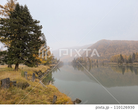 Quiet, calm autumn river in the rain. Beautiful misty mountain landscape with wide Argut river. Dark atmospheric view to river among mountains in foggy and rainy weather. 110126930