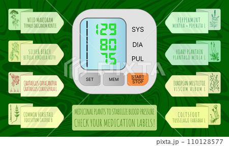 Set of vector Hand drawn illustrations. TOP MEDICINAL HERBS FOR NORMALIZING BLOOD PRESSURE 110128577
