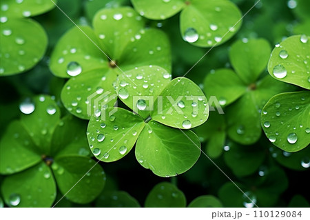 St. Patricks Day Banner Background. Decorative clover in Traditional Irish Symbols 110129084