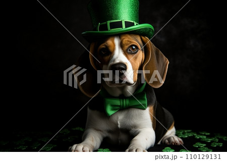 Cheerful and hilarious dog embracing St. Patricks Day, spreading laughter and amusement 110129131