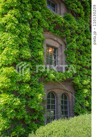 緑の壁と煉瓦の窓	 110130209