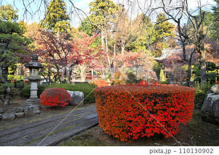 多福寺　境内　紅葉　埼玉県三芳町　 110130902