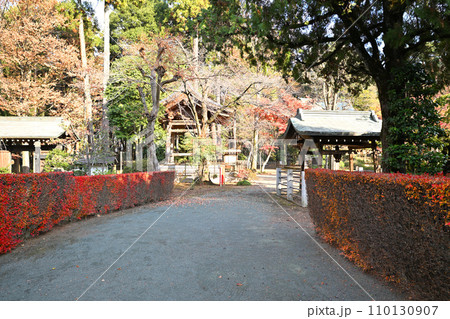 多福寺　境内　紅葉　埼玉県三芳町　 110130907