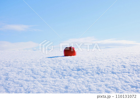 青空が広がる雪原の中に置かれたリンゴ 青空が広がる雪原の中に置かれたリンゴ 110131072