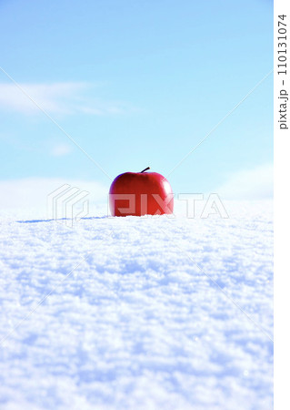 青空が広がる雪原の中に置かれたリンゴ 110131074