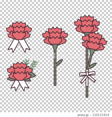 carnation illustration 110131914