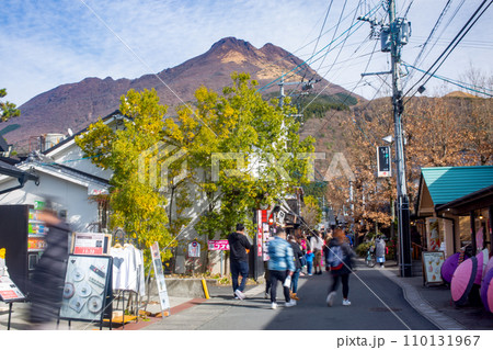 湯布院　湯の坪街道 110131967