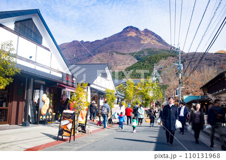 湯布院　湯の坪街道 110131968