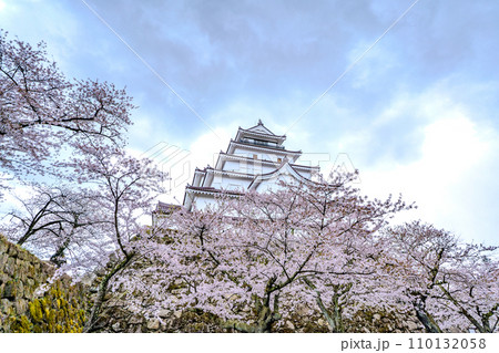鶴ヶ城 本丸 天守閣 満開の桜 春 会津若松市 鶴ヶ城 本丸 天守閣 満開の桜 春 会津若松市 110132058