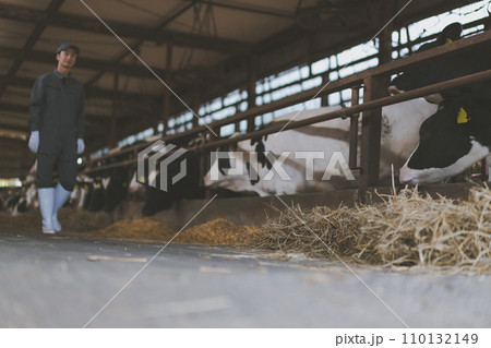 ranch 110132149