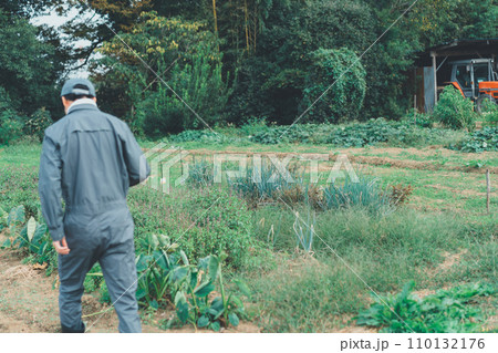 vegetable field vegetable field 110132176