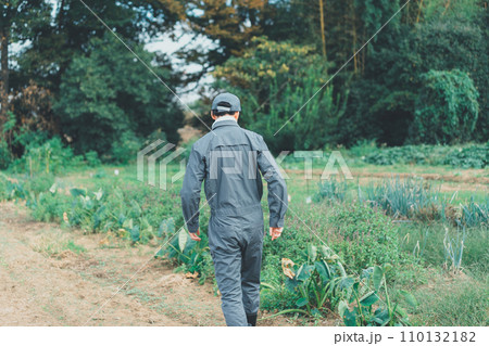 vegetable field vegetable field 110132182