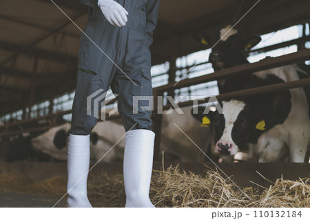 ranch 110132184