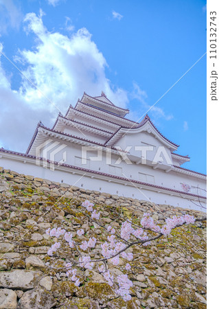 鶴ヶ城　本丸　天守閣　満開の桜　春　会津若松市 110132743