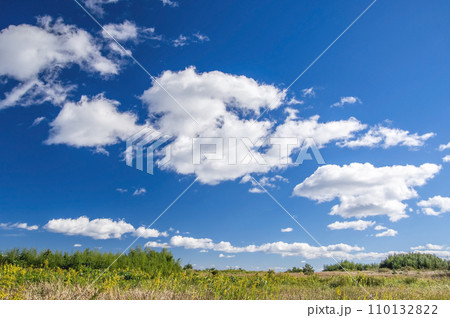 爽やかな青空が広がる郊外の風景 爽やかな青空が広がる郊外の風景 110132822