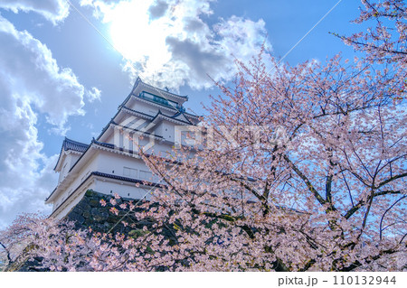 鶴ヶ城 本丸 天守閣 満開の桜 春 会津若松市 鶴ヶ城 本丸 天守閣 満開の桜 春 会津若松市 110132944