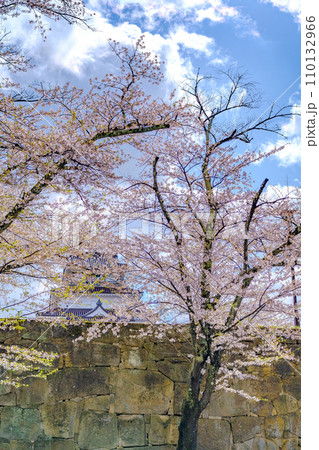 鶴ヶ城　本丸　天守閣　満開の桜　春　会津若松市 110132966