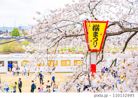 白石川堤 一目千本桜 春イメージ(宮城県大河原町) 白石川堤 一目千本桜 春イメージ(宮城県大河原町) 110132995